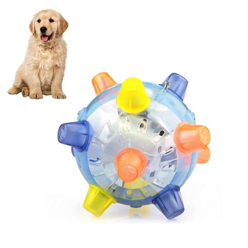 Pet LED Ball