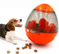 Dog playing with Interactive Pet Treat Ball Food Dispenser
