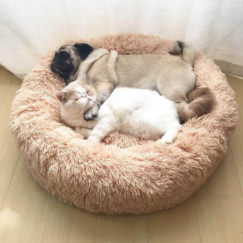 Dog resting comfortably in Calming Donut Bed for Dogs & Cats