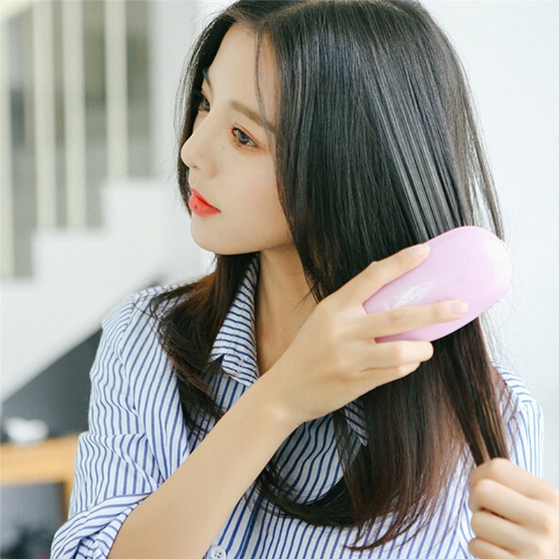 Portable Electric Ionic Styling Hairbrush - All Niche Drop