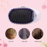 Portable Electric Ionic Styling Hairbrush - All Niche Drop