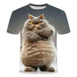 Funny Cat Pattern T-Shirt For Men Personality Animal 3D Printed T Shirts Summer Loose Short Sleeved Tops Casual Round Neck Tees - All Niche Drop