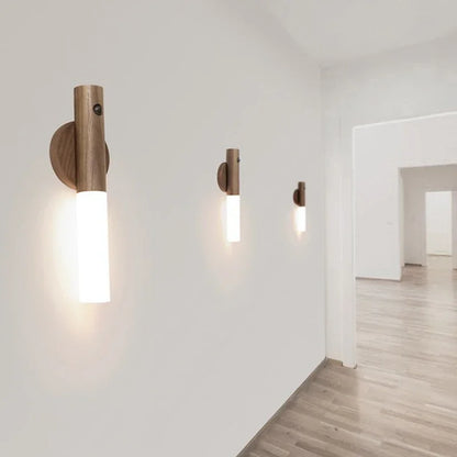 LED wall light with automatic body induction