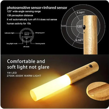 Human body induction LED night light
